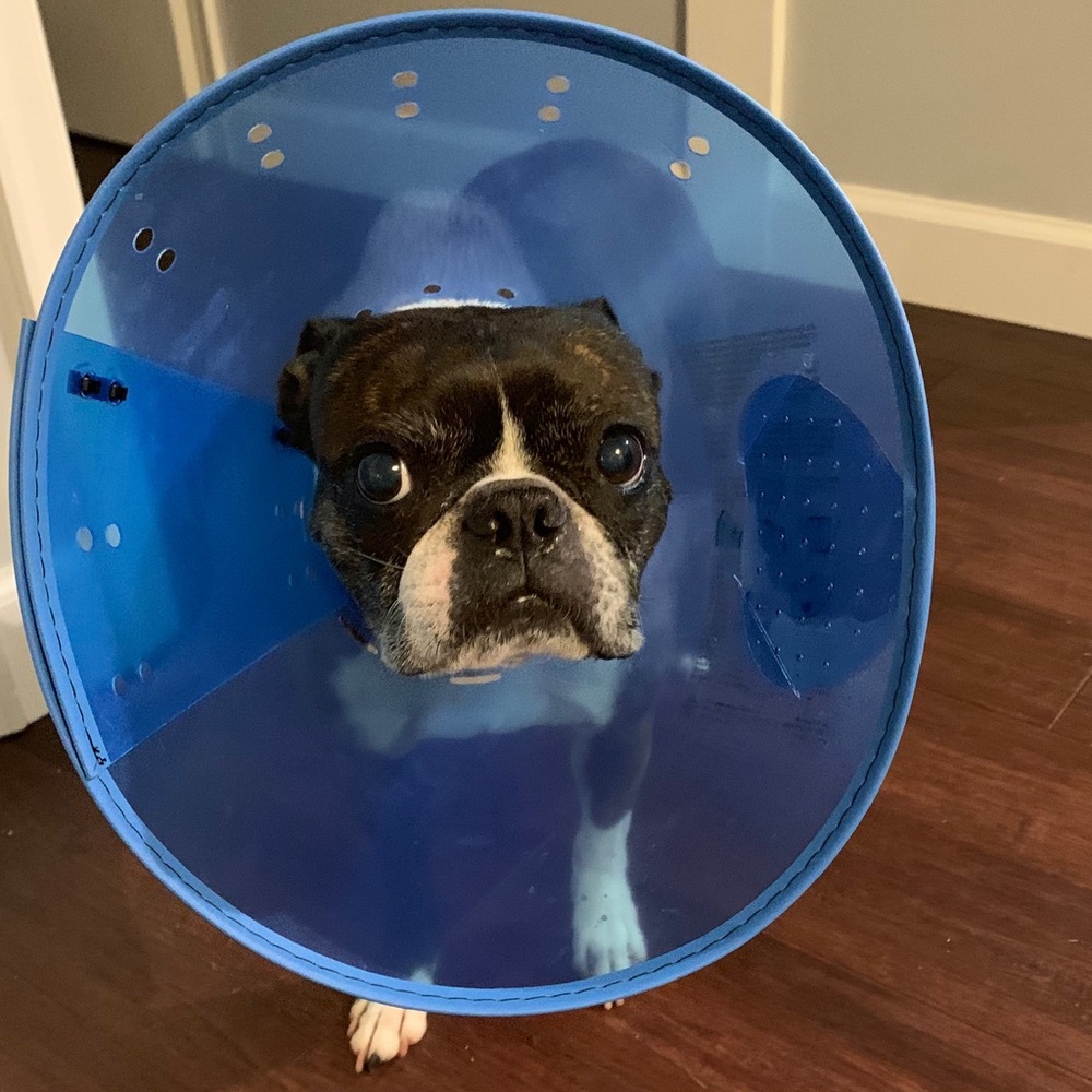 Meet your Posher, Huan